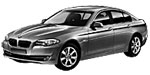 BMW F10 U215U Fault Code